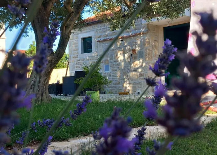 Leggiero Бенковац